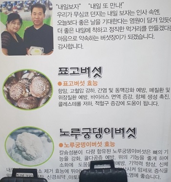 버섯효능