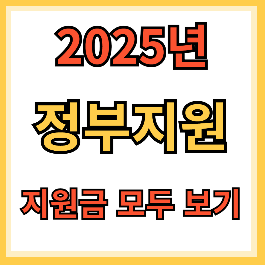 정부지원금