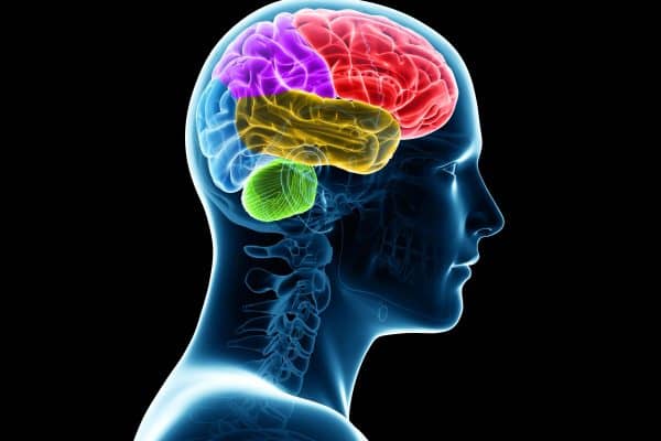 행동경제학으로 본 청년층의 소비 함정