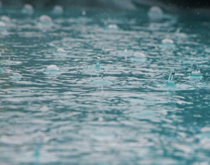 동물꿈,물건꿈,물꿈,구렁이,뱀꿈해몽 모음