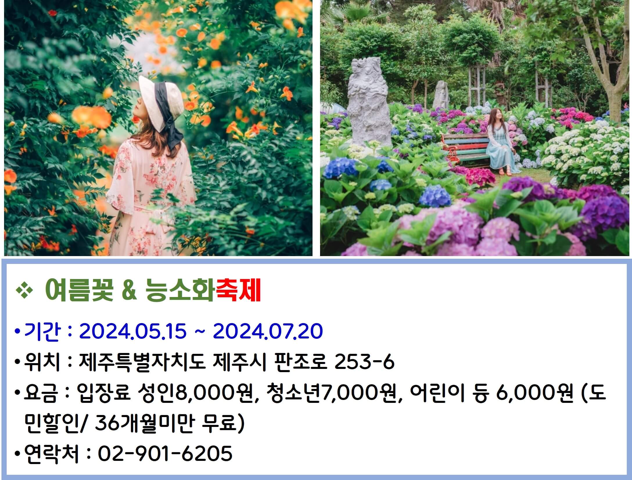 여름꽃 & 능소화축제