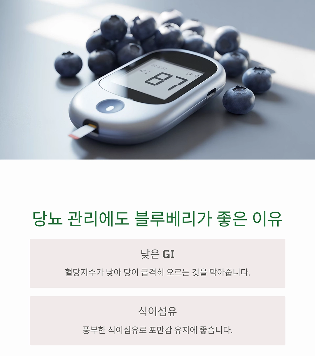 블루베리 효능, 시니어가 꼭 먹어야 하는 이유