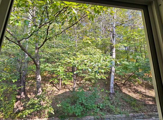 호선물산