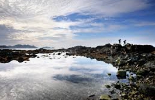 추자도 운항요금