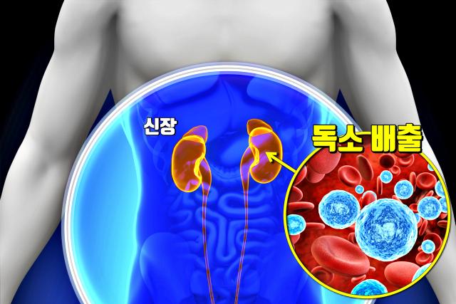 아침 공복 물한컵 효능 독소배출