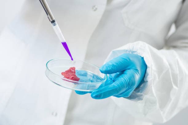 배양육이 동물 복지에 미치는 긍정적 영향