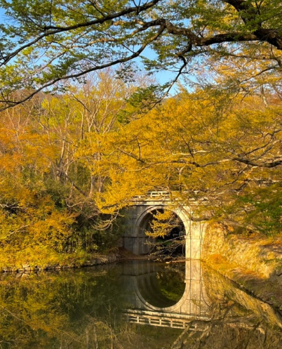 4월에 가면 좋은 국내 여행지 추천