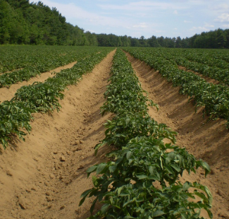 국토부-지적도-무료-열람