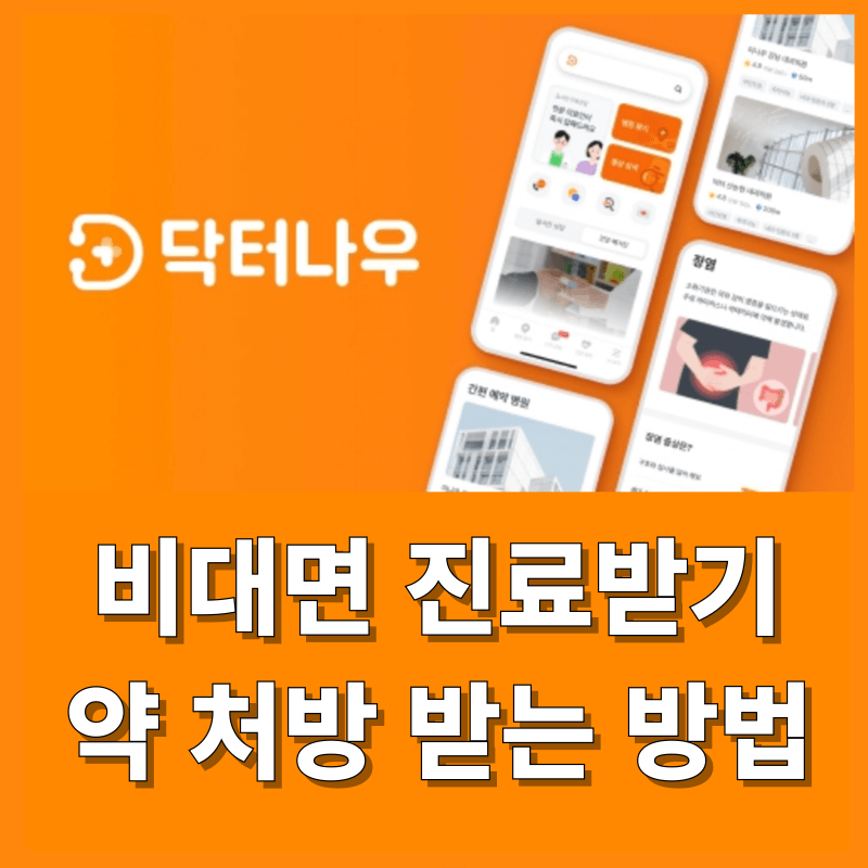 닥터나우 사용방법