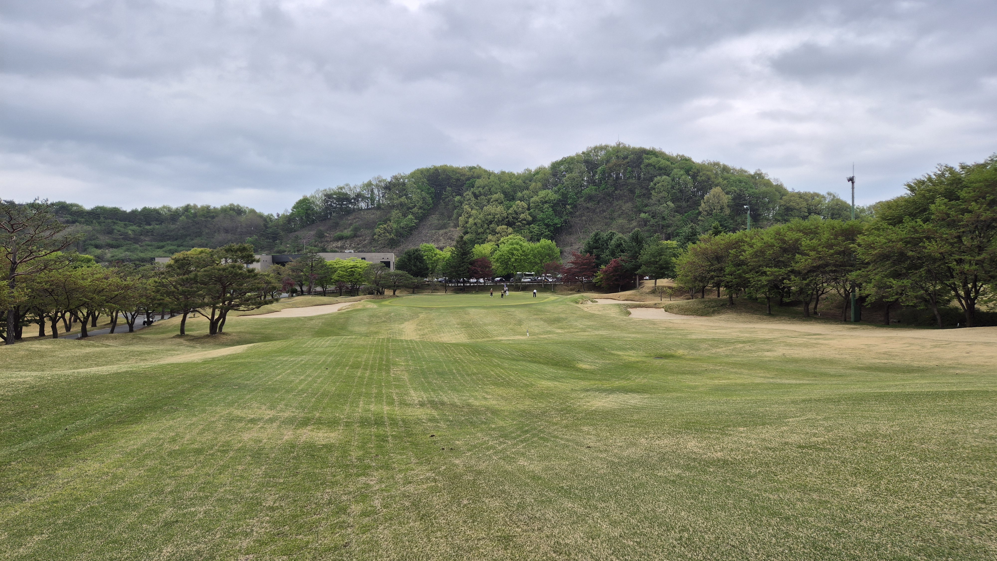 시그너스cc 코튼-라미 코스 사진 및 공략 정보