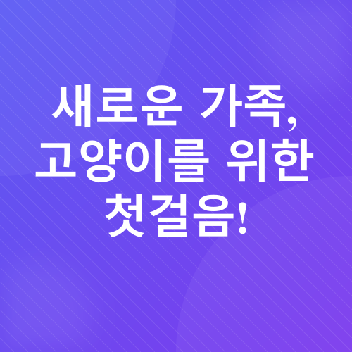 고양이 입양 준비_1