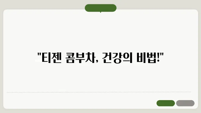 티젠 콤부차 효과