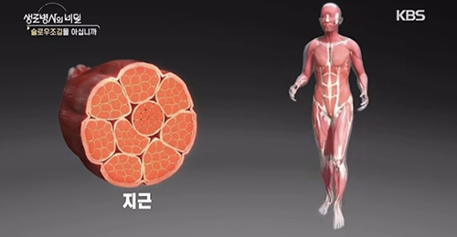 슬로우조깅을 아십니까