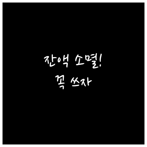 교육급여 바우처 잔액 소멸 전에 쓰는..