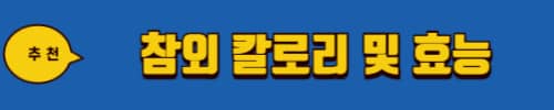 키위 효능