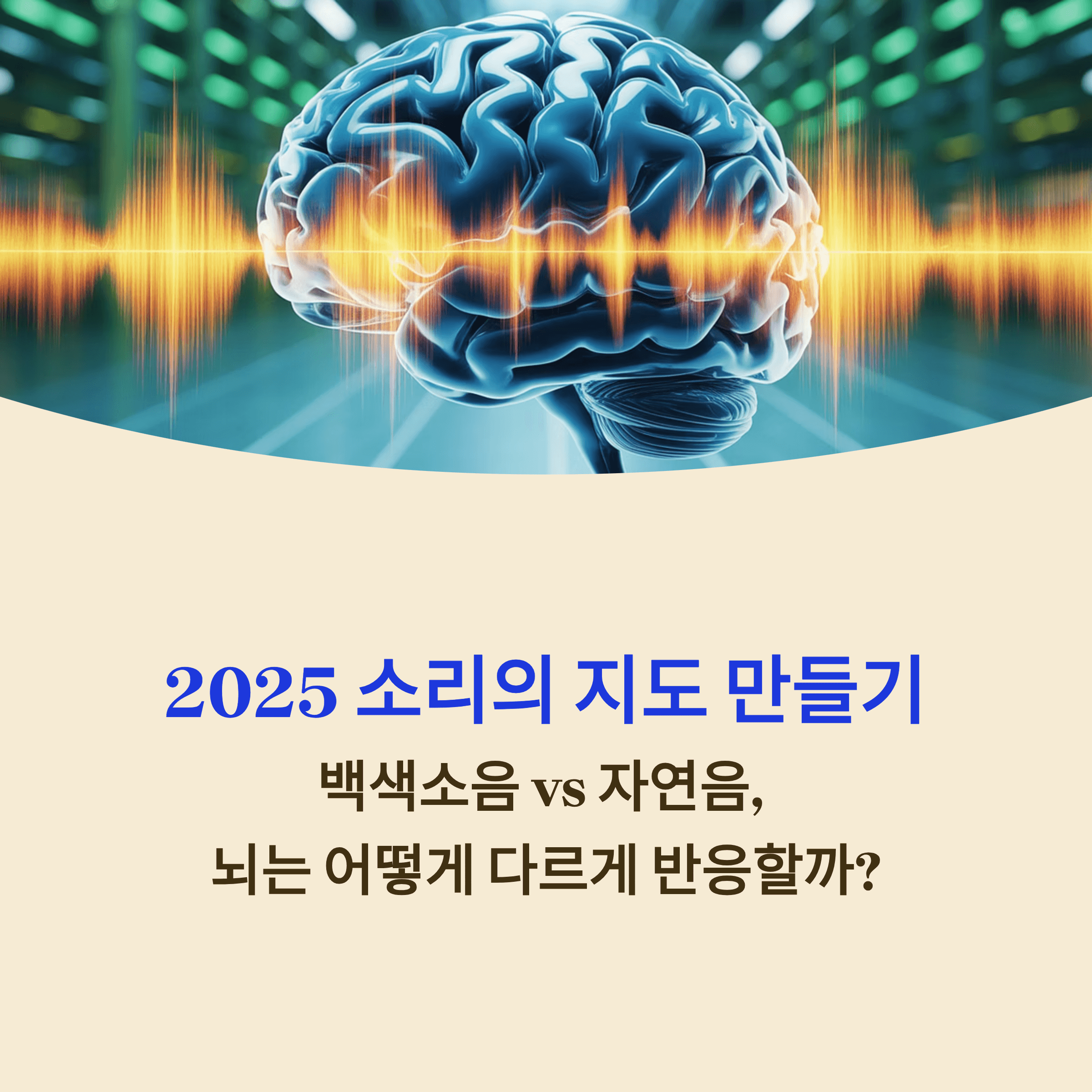 2025 '소리의 지도 만들기'