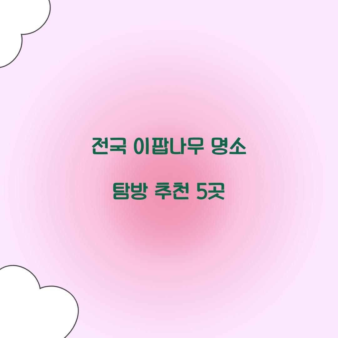 전국 이팝나무 명소