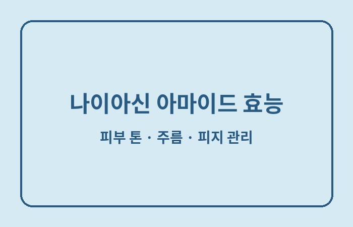 나이아신 아마이드 효능