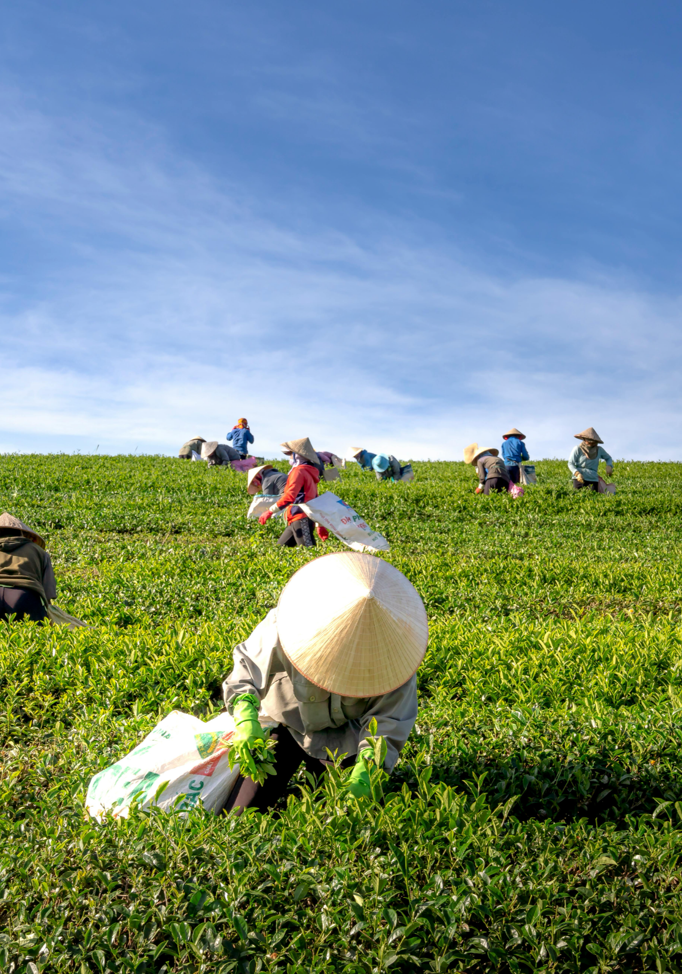 기본 신고 서류