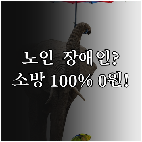 독거노인 장애인 2025 서울 소방시..
