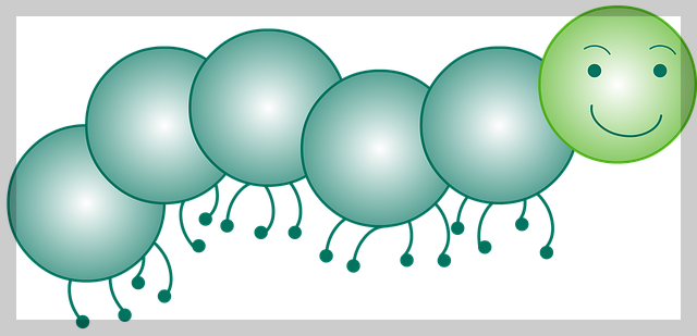 지네 꿈해몽 돈벌레 꿈해몽