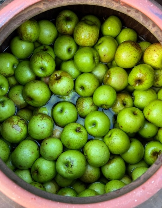 한국기행-진안-차정단-발효식초