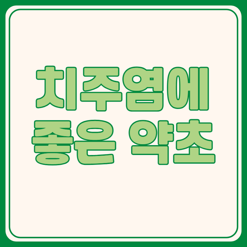 치주염에 좋은 약초
