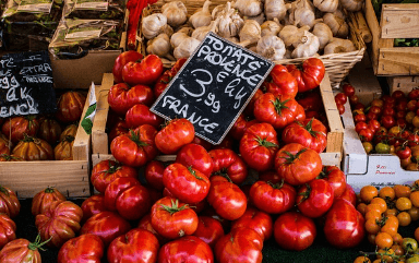 2024 SSG닷컴 리빙 쓱세일