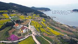 치유가 필요해 청산도를 걸어봐 기본일정과 프로그램 소개