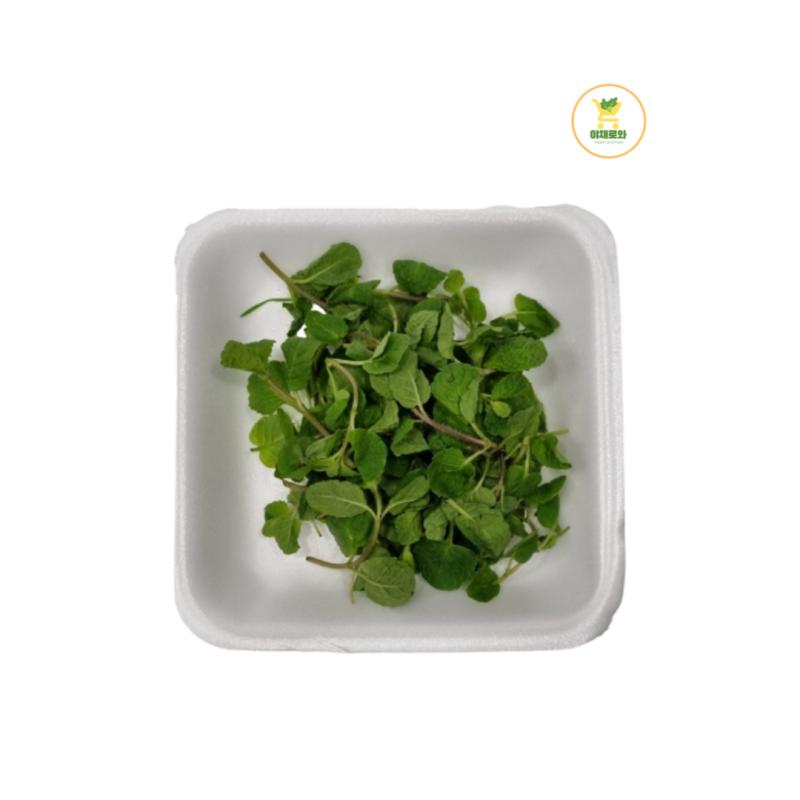 애플민트 (1팩/10g)