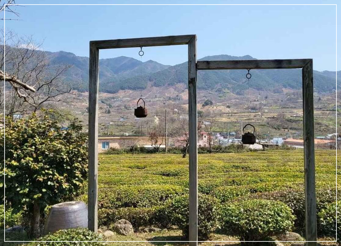 하동 가볼만한곳 베스트10 매암 제다원