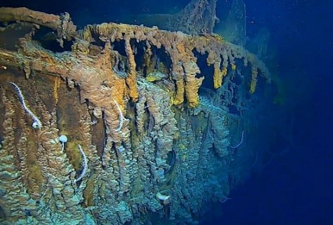 타이타닉 잠수정 해미쉬 하딩 죽음 면책 조항