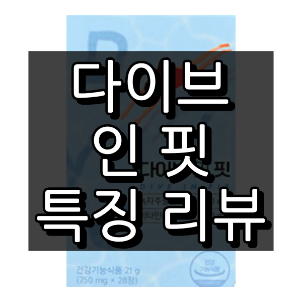 다이브 인 핏 대표 이미지
