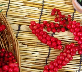 오미자 부작용 및 섭취 시 주의 사항