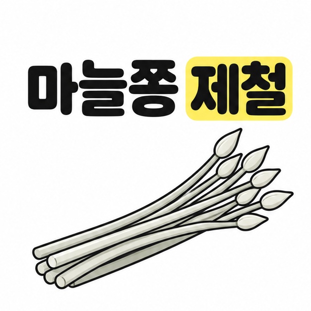 마늘쫑 제철이라는 제목과 꽃봉오리가 달린 가늘고 긴 마늘쫑 한 묶음