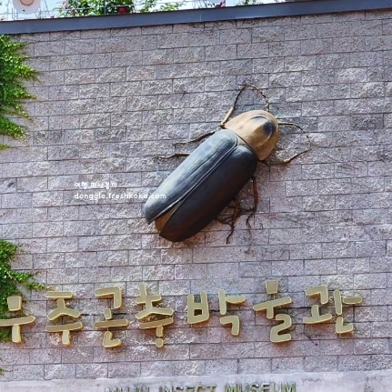 무주 가볼만한곳 베스트10