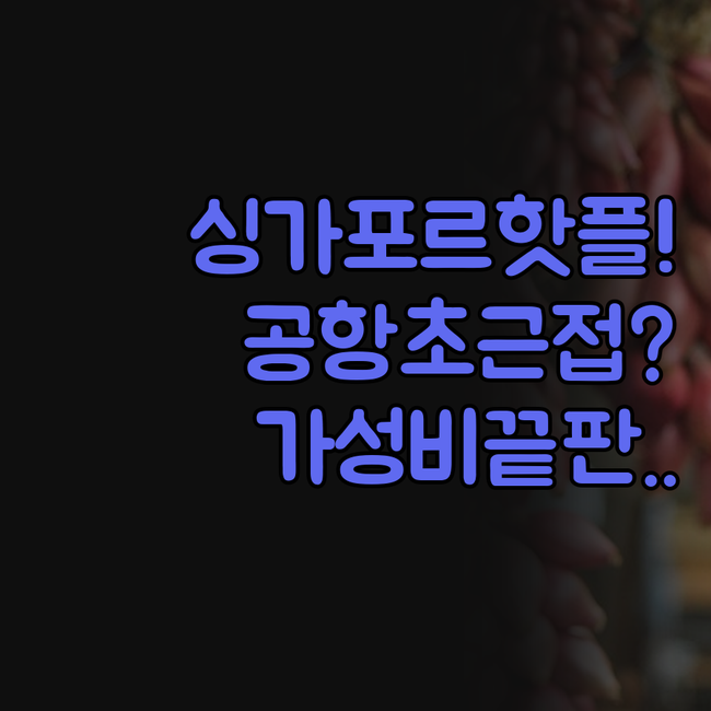 하버 빌 호텔 공항 인근 가성비 소셜..