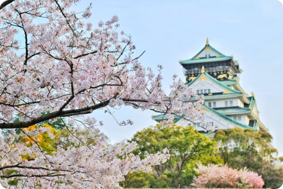 일본 벚꽃 명소 추천