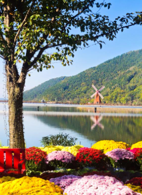 대구 옥연지 송해공원