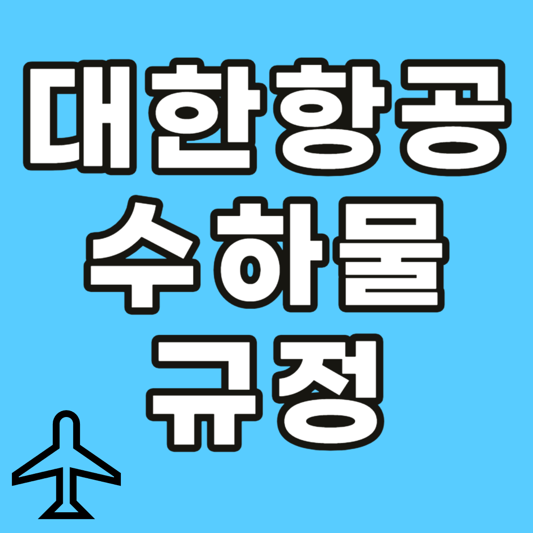 수하물 규정