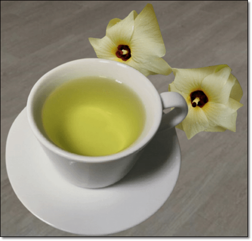 금화규 꽃차 효능