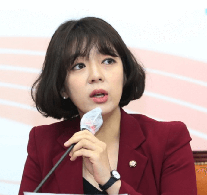 배현진 피습 범인 중학생
