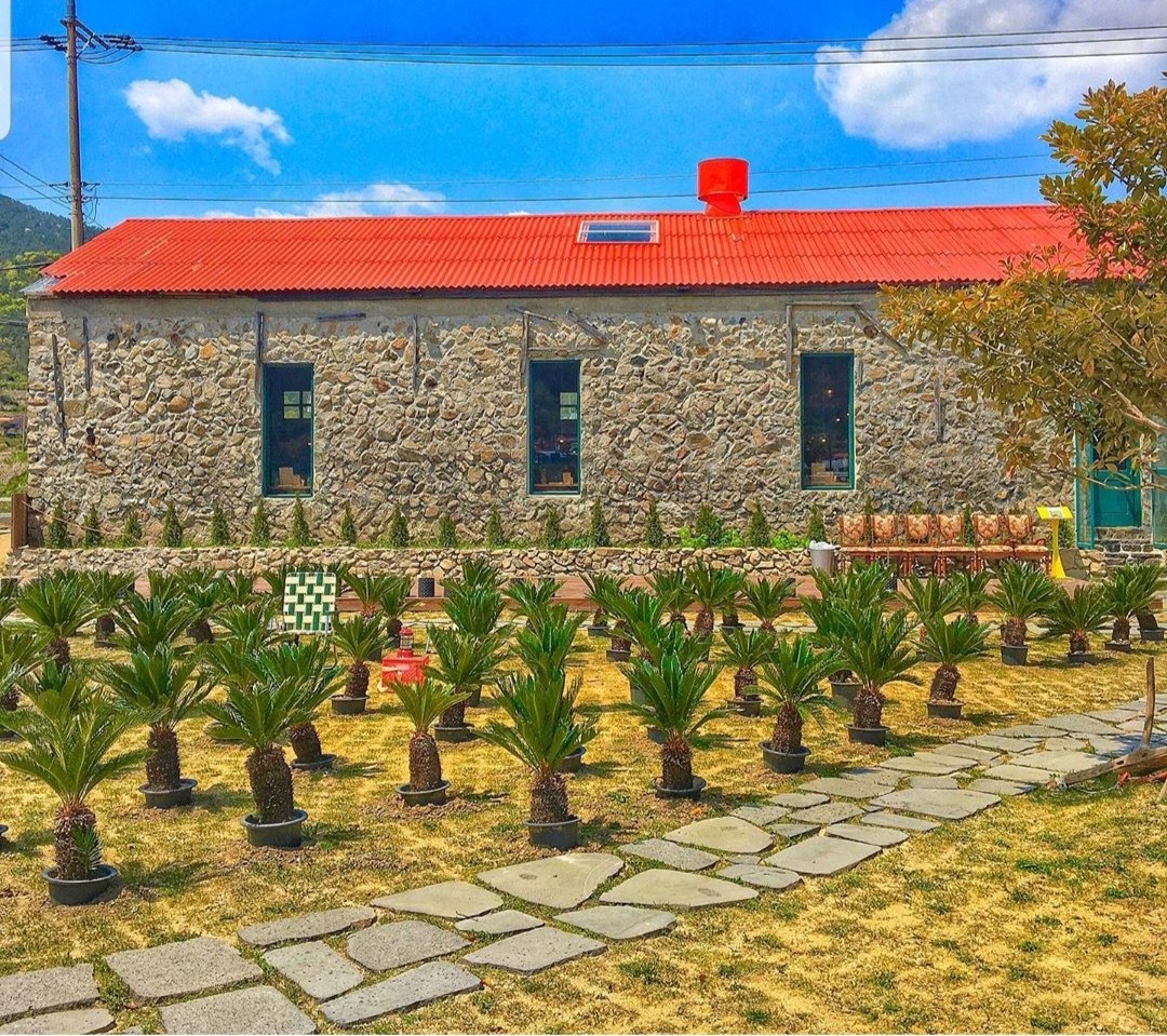 거제 식물원 근처 맛집