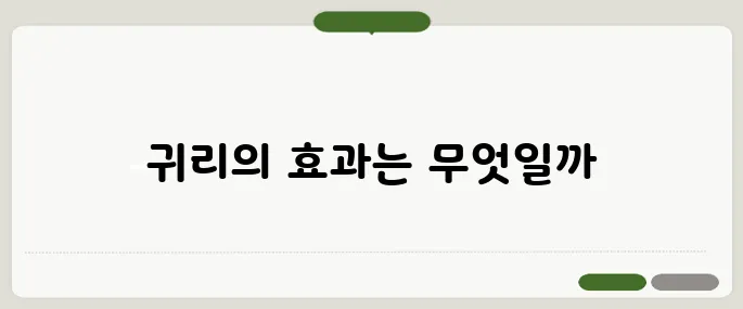귀리 효능 먹고 나서 생긴 놀라운 변화