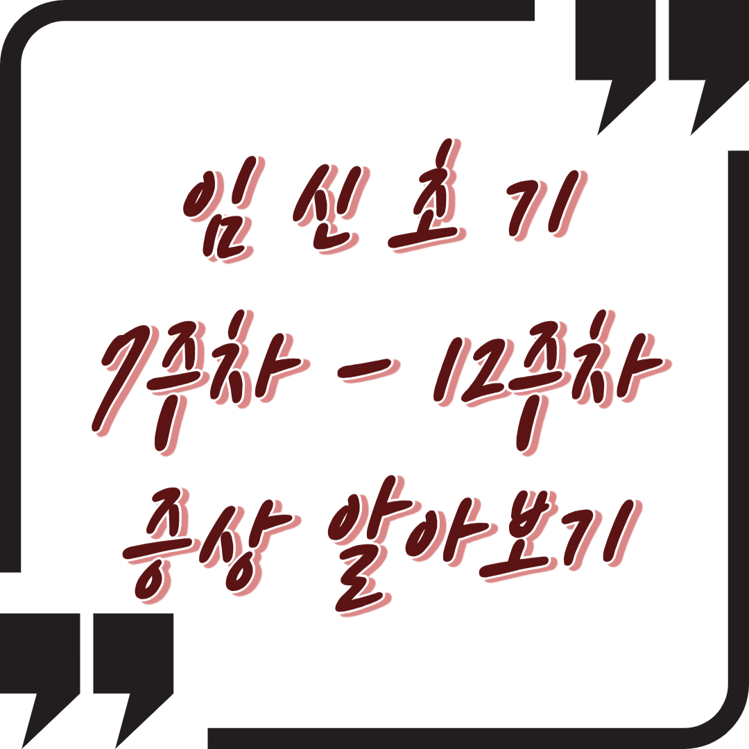 임신초기 7 ~ 12주차