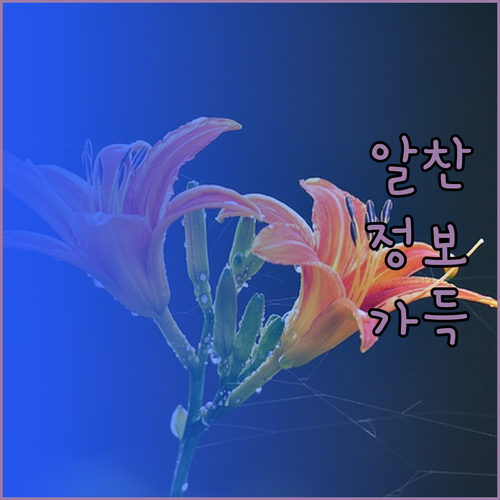 삿포로 호텔 추천! 티마트 시티 호텔