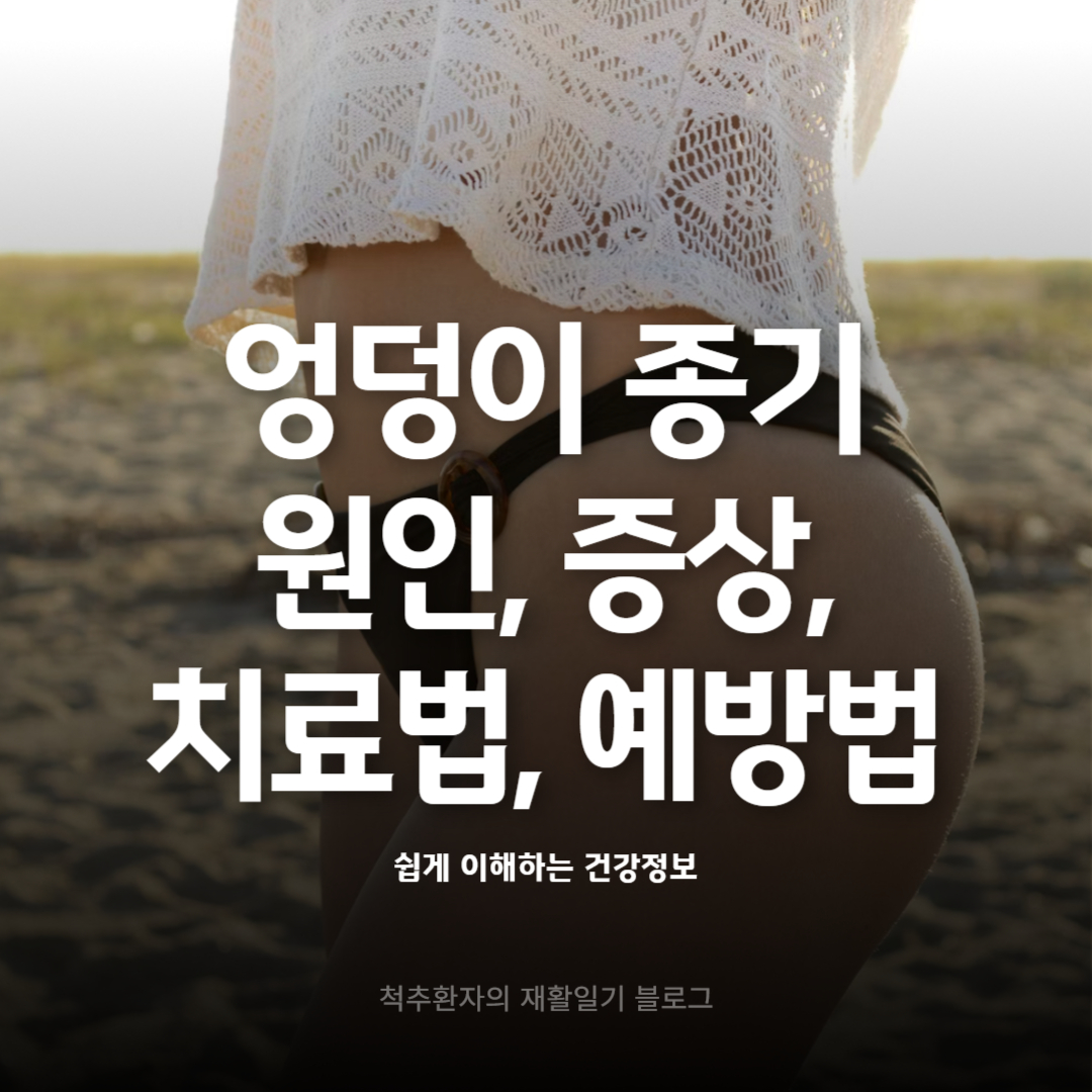 엉덩이-종기