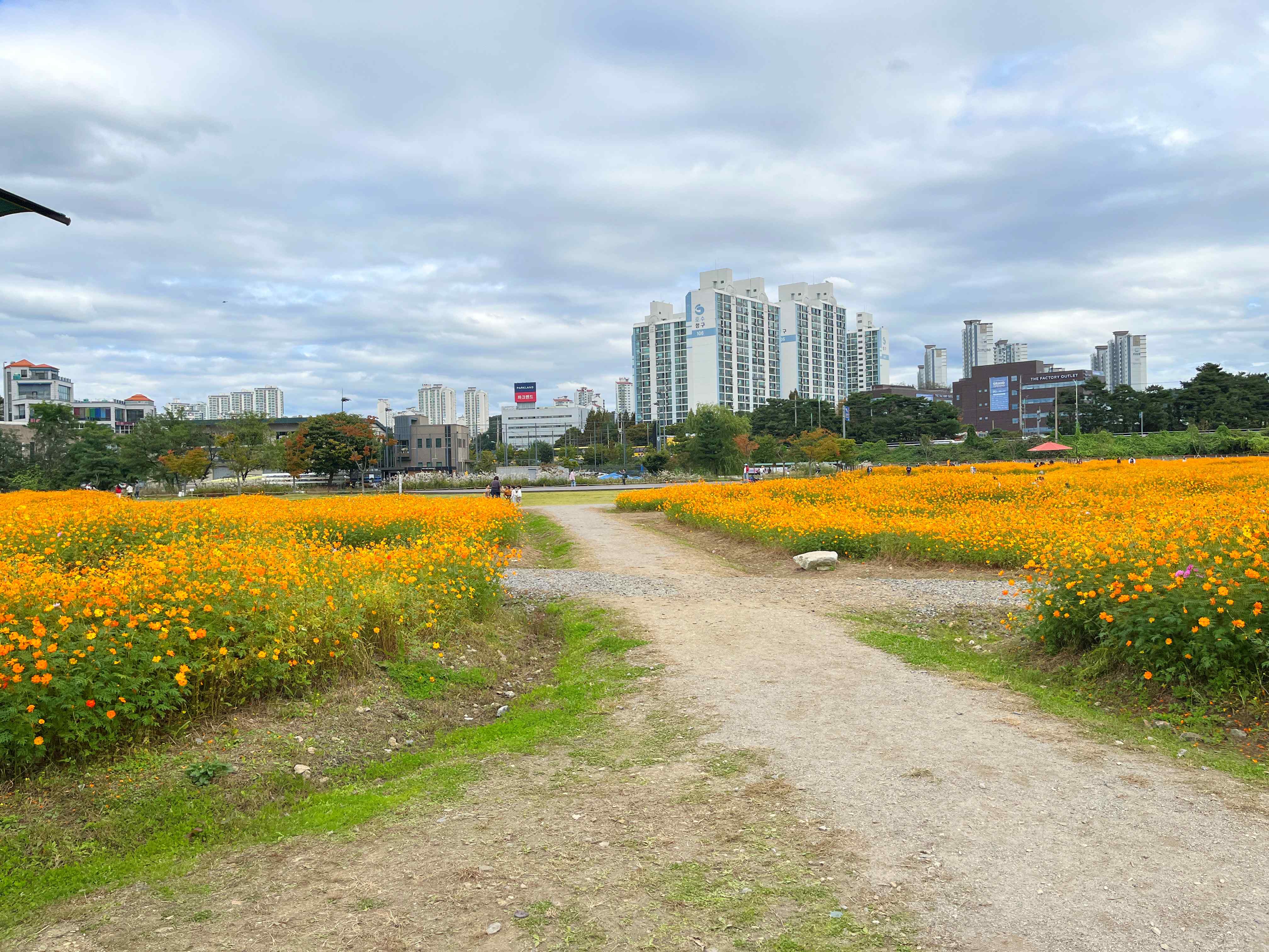 용인 기흥 호수공원
