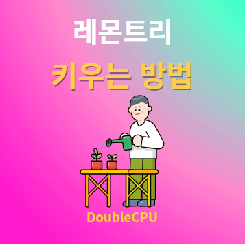 레몬트리 키우기