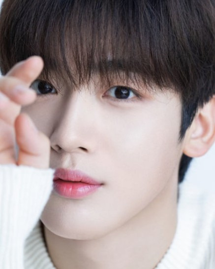 김요한 틈만나면